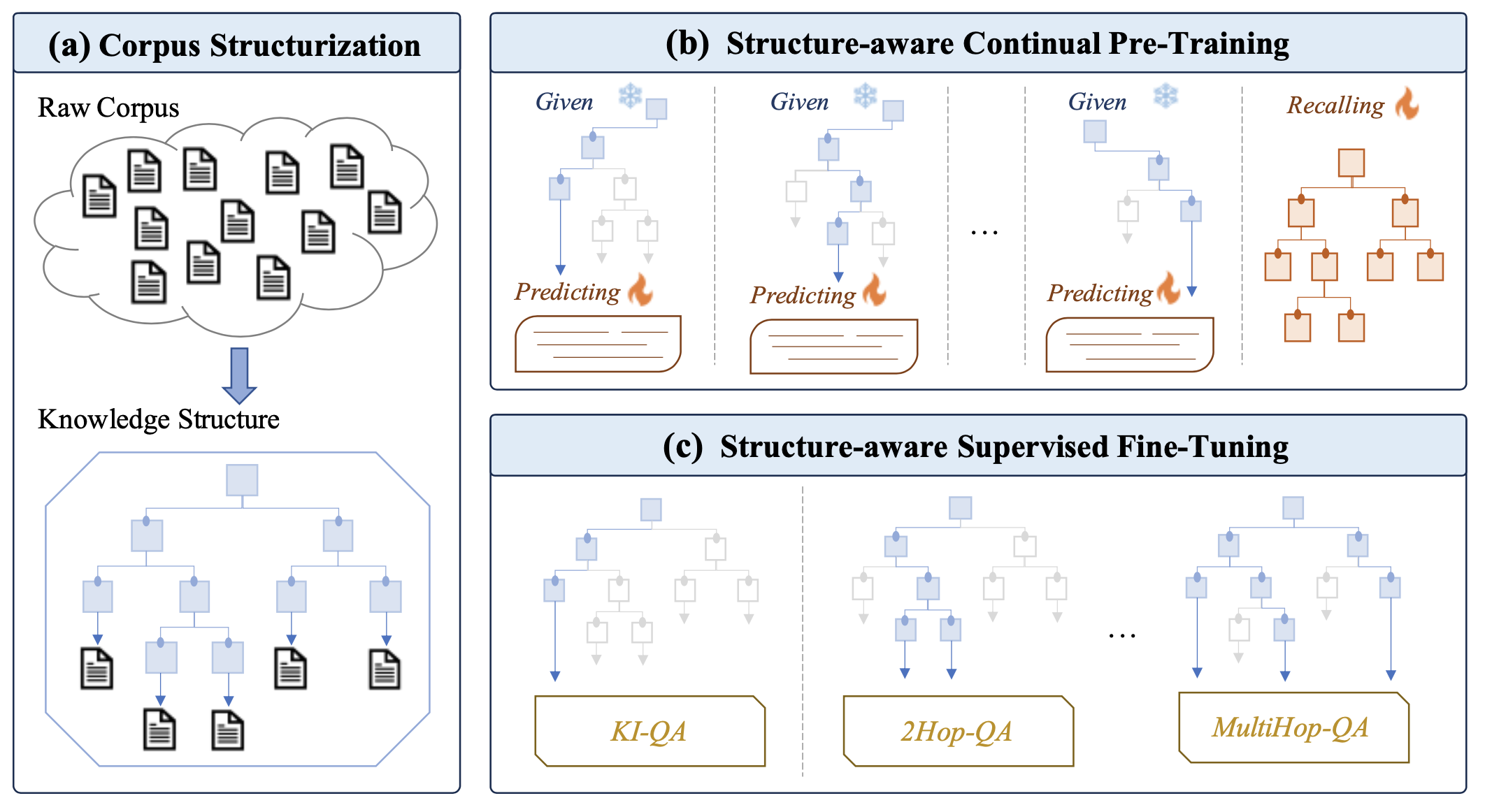 Structure-aware Domain Knowledge Injection for Large Language Models